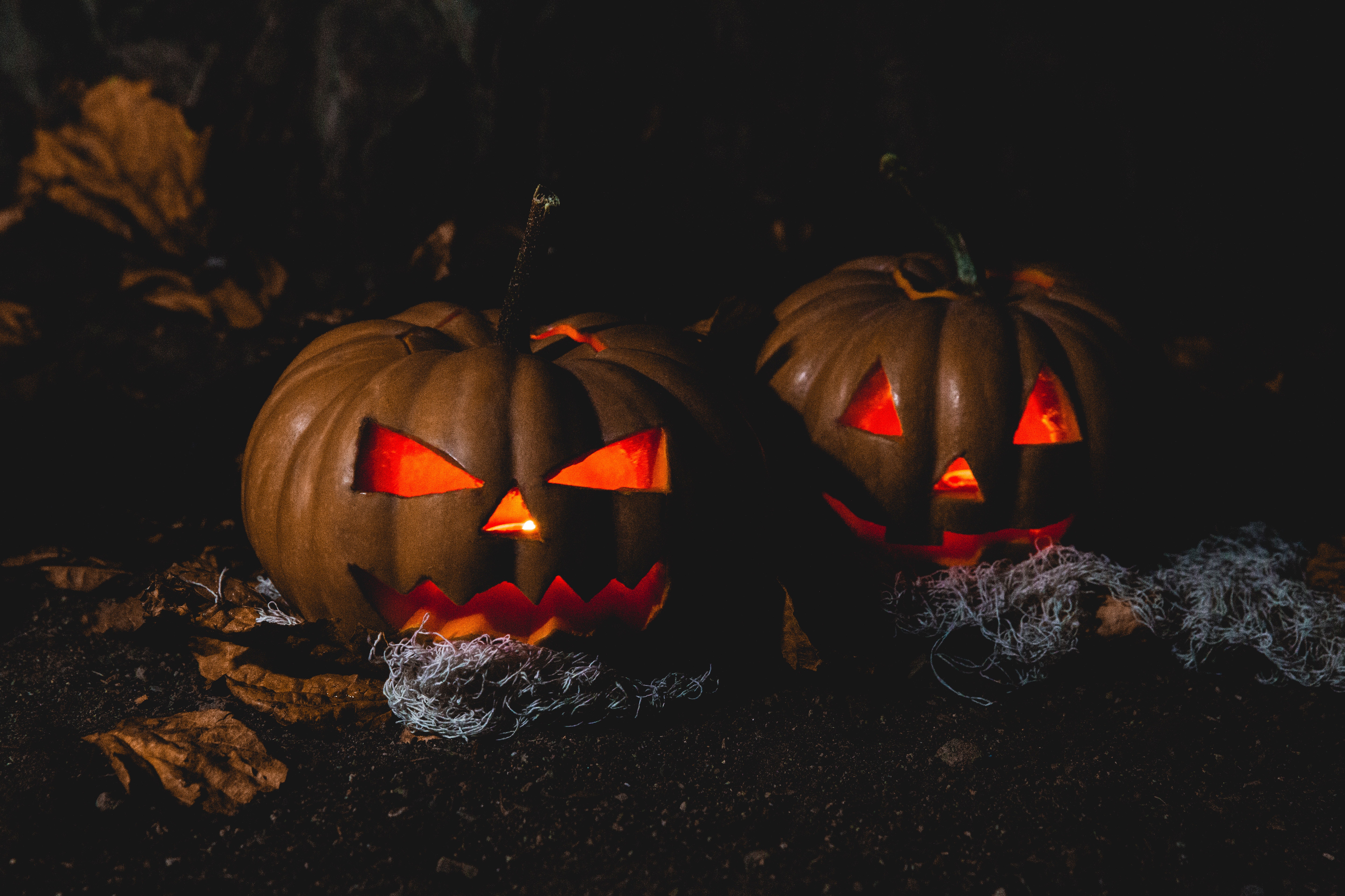 Spook It Up this Halloween with the Help of a Home Automation Company